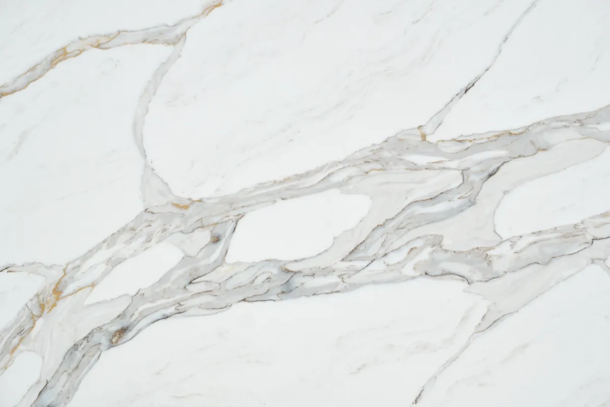 TC 8884 Bologna Gold